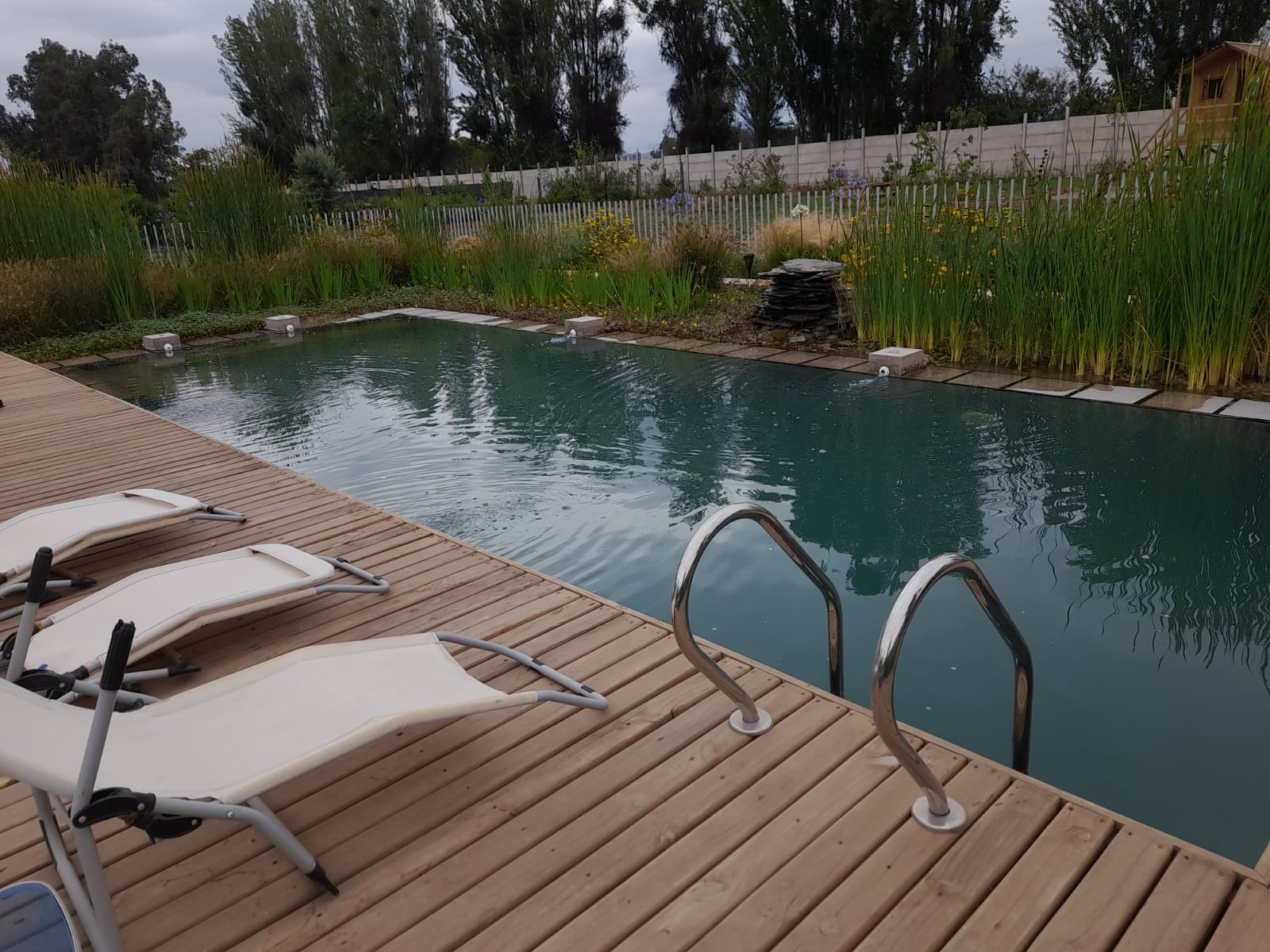 Proyecto de piscinas naturales en Calera de Tango, Santiago