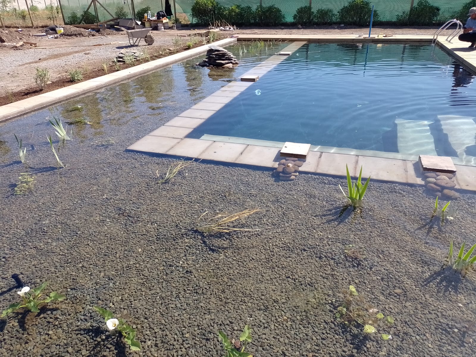 Proyecto de piscinas naturales en Chicureo, Santiago
