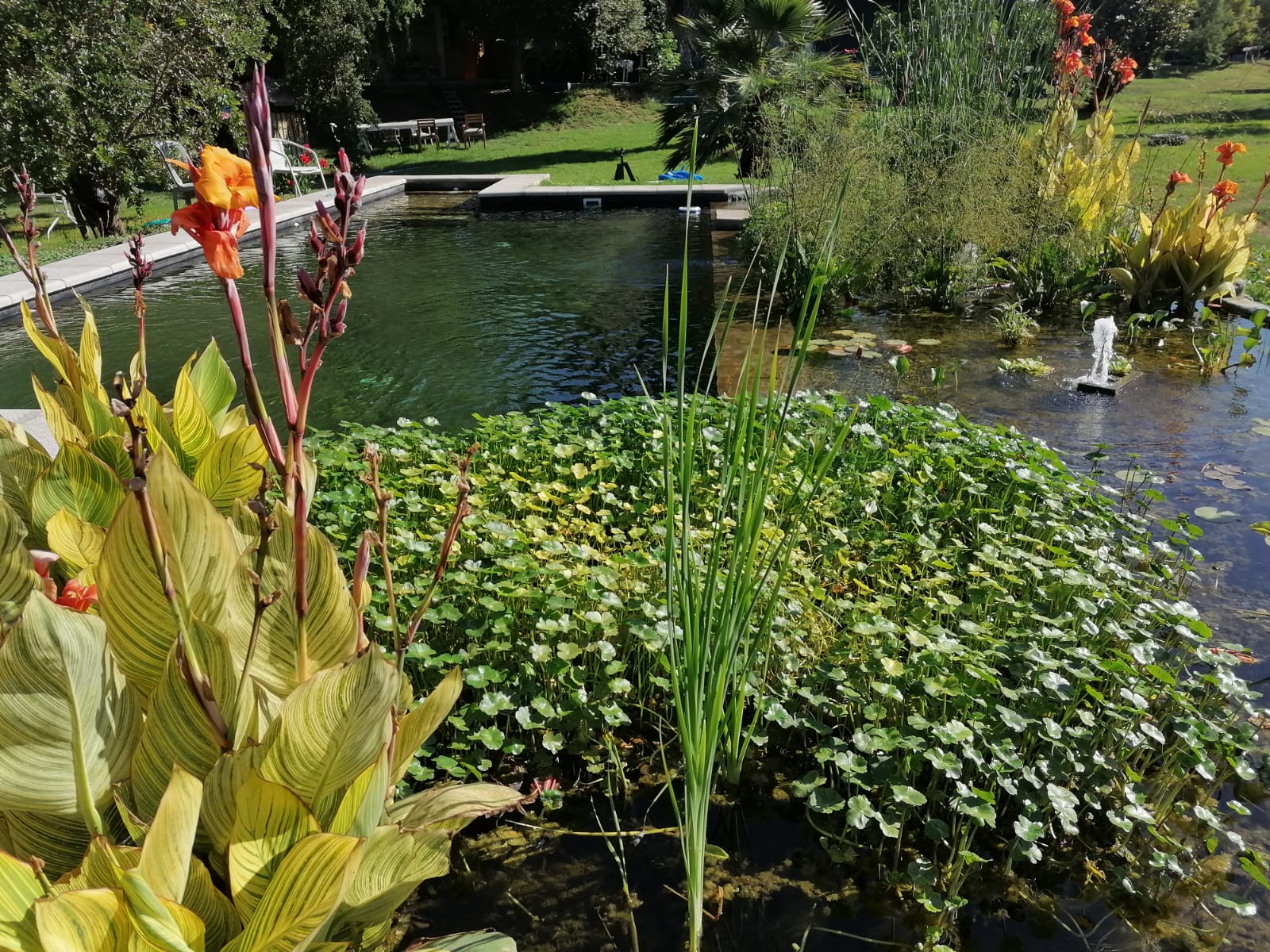 Proyecto de piscinas naturales en San José de Maipo, Santiago
